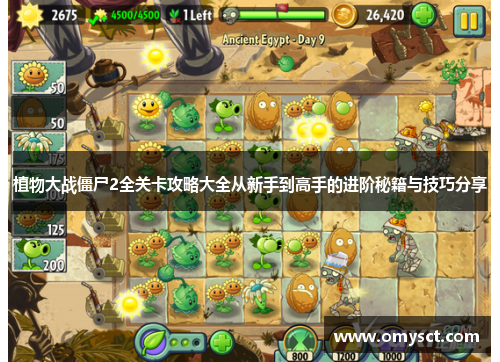 植物大战僵尸2全关卡攻略大全从新手到高手的进阶秘籍与技巧分享